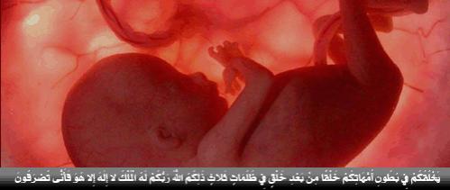 ��������:	ar_intro16.jpg
���������: 2806
��������:	14.7 ��������