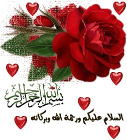 ��������:	8f0757cc9f66f210daec687a1c6aeb66.jpg
���������: 3002
��������:	17.4 ��������